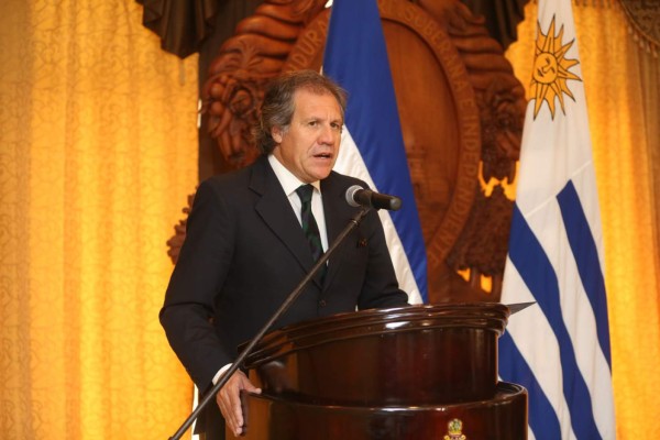 La OEA está lista para observar procesos electorales