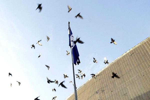 Las Fotos de la Semana