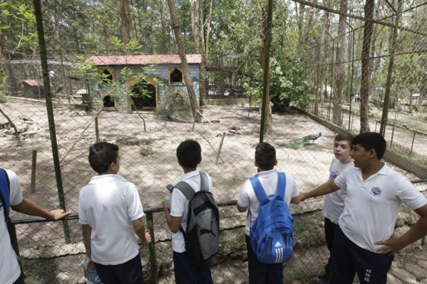 Tegucigalpa ofrece cultura y arte