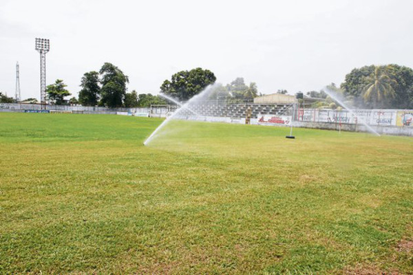 Choloma camina a paso lento