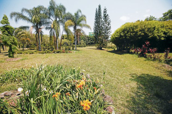 Jardín Botánico Rittenhouse: un paseo por la naturaleza