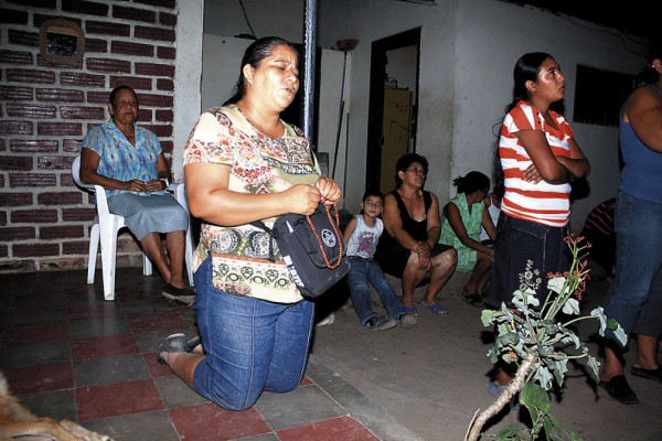 Honduras: Devotos ven rostro de Virgen sobre una palmera