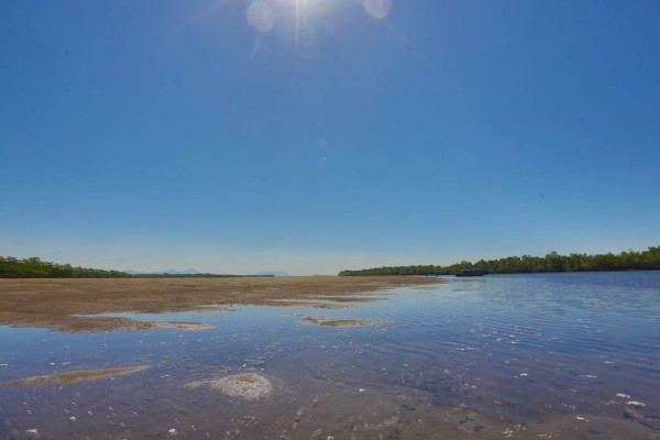 Honduras: El mangle, la joya natural más bella del Sur