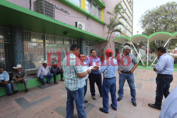 Productores de granos básicos se toman instalaciones de Banadesa