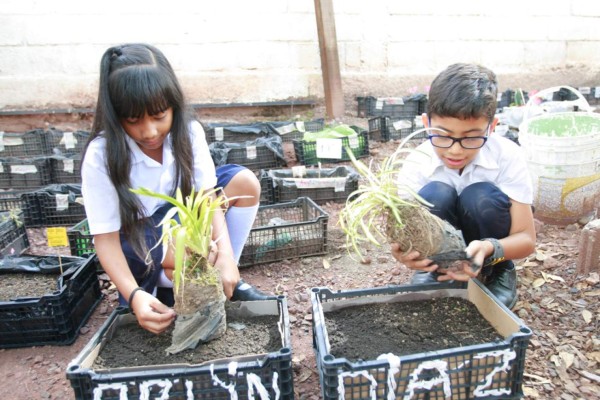 Entornos verdes recuperan importancia en la Escuela Experimental de Niños para la Música