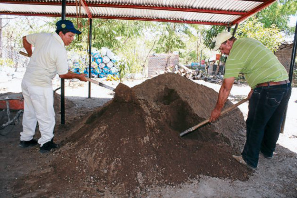 Microempresa campesina produce abono orgánico
