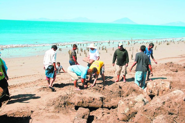 Vecinos de Cedeño organizan comité para limpiar las playas