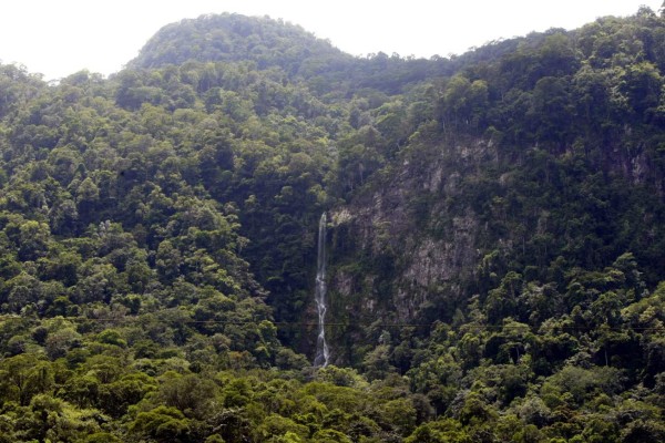 Adrenalina pura en el rafting del Río Cangrejal