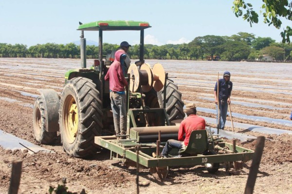Honduras: El sector privado de Honduras registra 1,501,462 asalariados