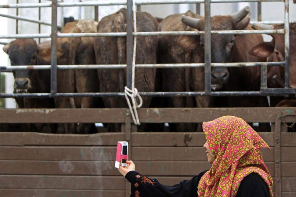 'Selfie', el fenómeno global que se resiste a morir