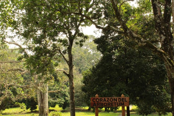 Un viaje por la Joya Verde del Caribe hondureño