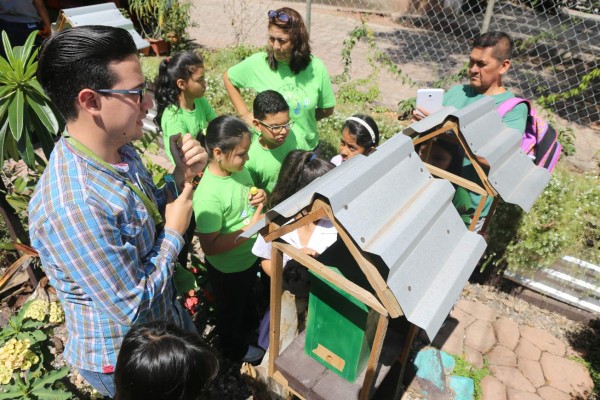 La Escuela John F Kennedy aprendió sobre las abejas en su visita al meliponario