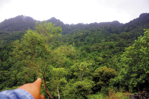 Crean fundación para preservar reserva acuífera de Apagüiz