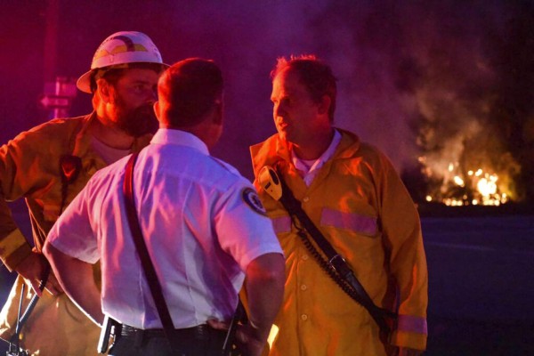 Impactantes imágenes de los devastadores incendios forestales en Florida