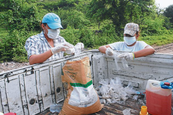 Morolica tiene benéfico ejército de Cascos Azules