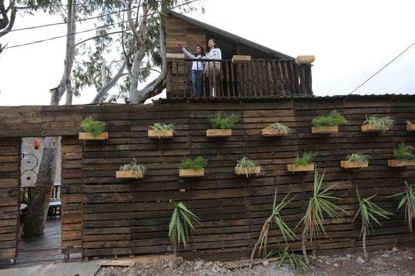 Le Petit Bistro café, una original propuesta ecológica y culinaria