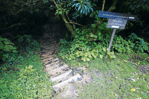 Un viaje para descubrir La Tigra