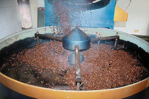 En auge las empresas tostadoras del café en El Paraíso