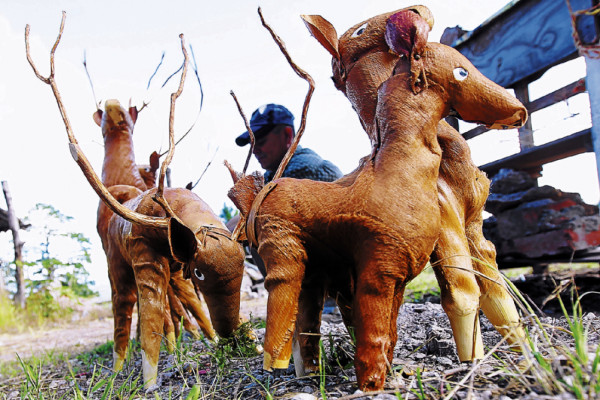 Productos del campo adornan la Navidad