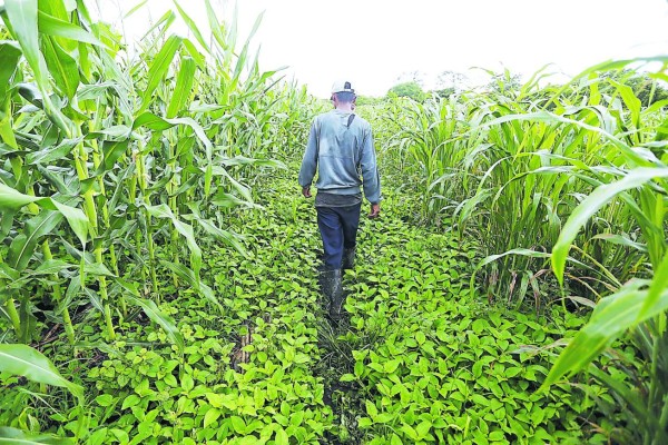 Rediseño de proyecto de riego en Jamastrán deja fuera a muchos productores