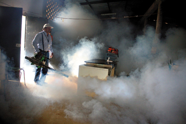 Intensifican labores para controlar el mosquito del dengue en Danlí