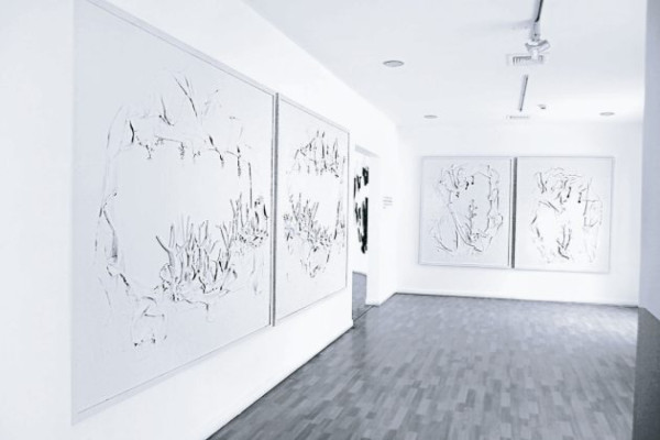 'Tegucifossil”, tiempo que nos inventa y nos destruye