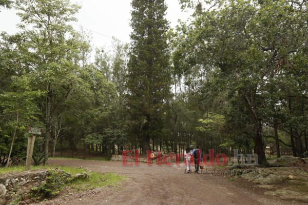 Con medidas de bioseguridad, El Picacho abre sus puertas (FOTOS)