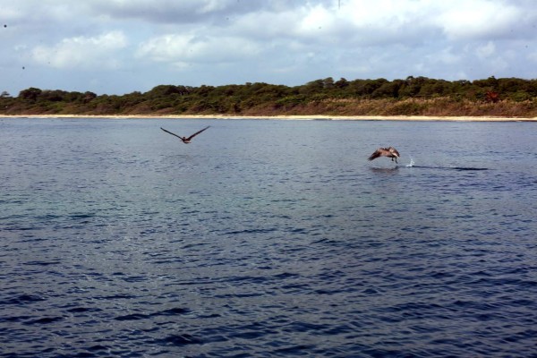 Patrimonio cultural y natural de Honduras