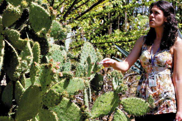 El herbario de Zamorano