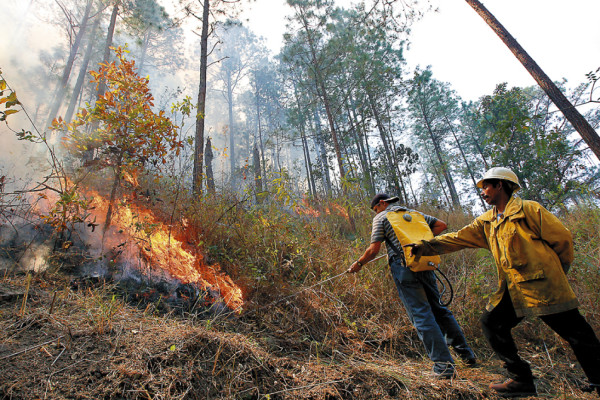 La capital de Honduras está sitiada por los incendios forestales