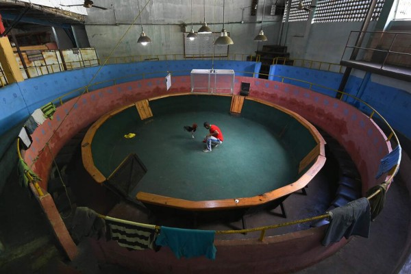 FOTOS: Las mejores imágenes captadas esta semana en América Latina