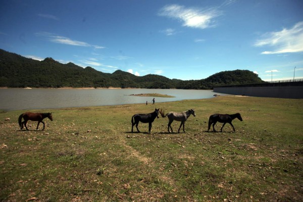 Capitalinos recibirán el agua tres horas diarias en 2018
