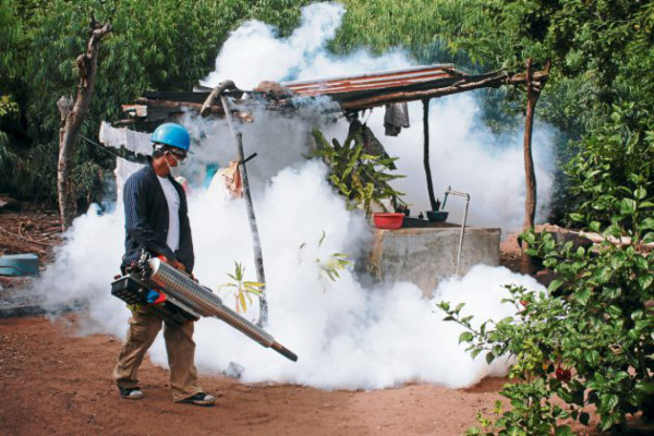 Morolica tiene benéfico ejército de Cascos Azules
