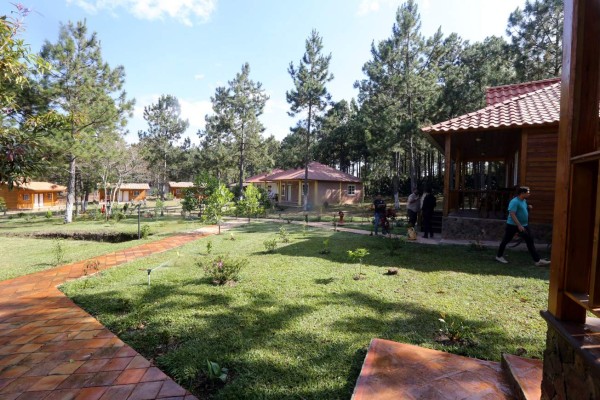 Tierra Adentro: El aroma a café en Marcala, San Pedro y Veracruz