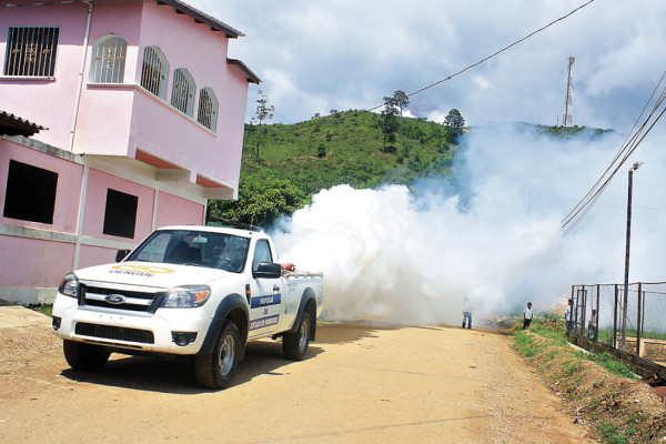 El Paraíso logra mantener un bajo índice de dengue