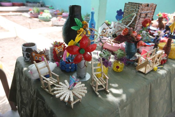 Centros escolares y entidades celebran el Día del Árbol Nacional