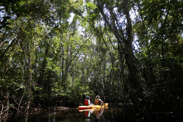 Recarga de adrenalina en El Río Plátano