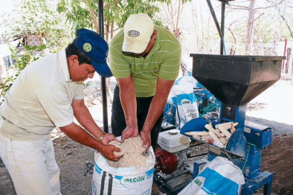 Microempresa campesina produce abono orgánico
