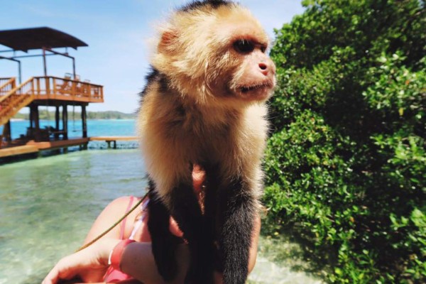 Actor Carlos Pena visita las bellas playas de Roatán