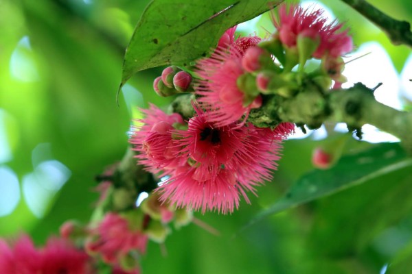 Ecosistemas de enorme riqueza escénica