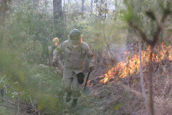 Bomberos combaten nuevo incendio en la parte baja de El Hatillo, salida a Olancho