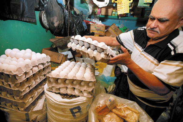Confirmado aumento de cuatro lempiras a cartón de huevos