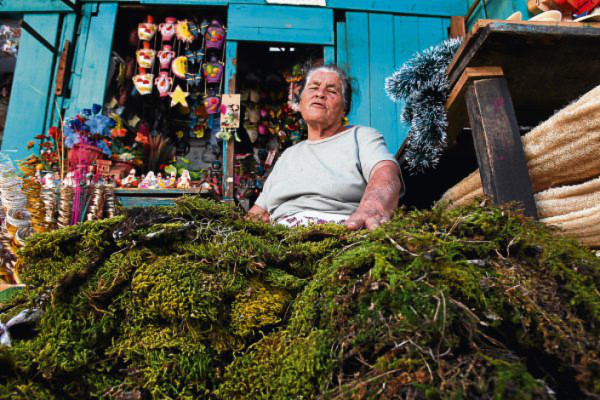Productos navideños invaden plazas comerciales