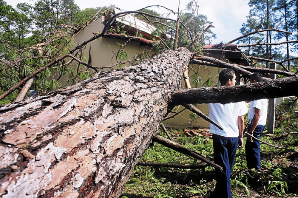 Potentes vientos derriban árboles y techos en Potrerillos