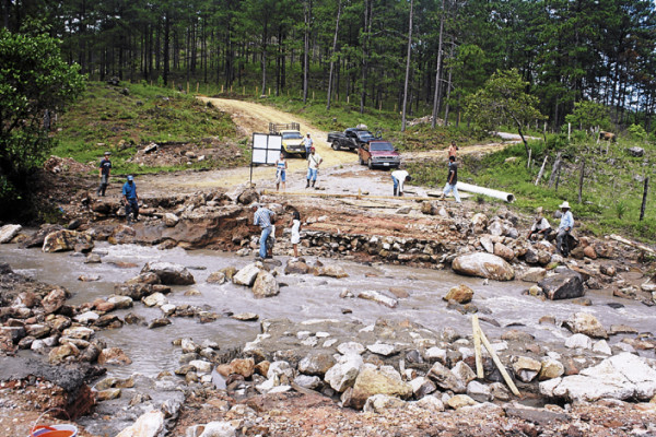 Potentes vientos derriban árboles y techos en Potrerillos