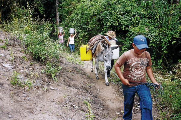 El verano arrebata 50% del agua que reciben en Danlí
