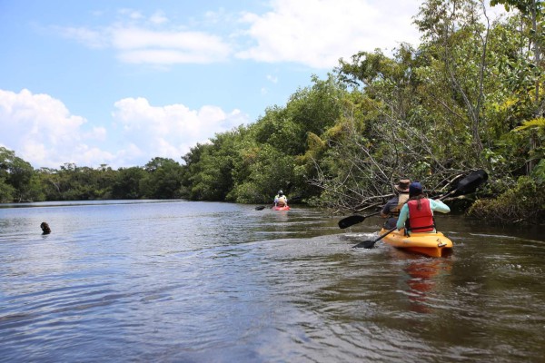 Recarga de adrenalina en El Río Plátano