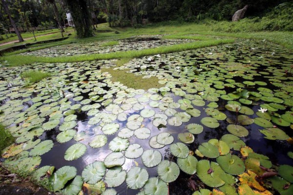 Jardín Botánico Lancetilla