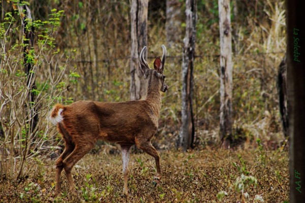Fértil y muy variada, conozca la ruta agroturística de Comayagua