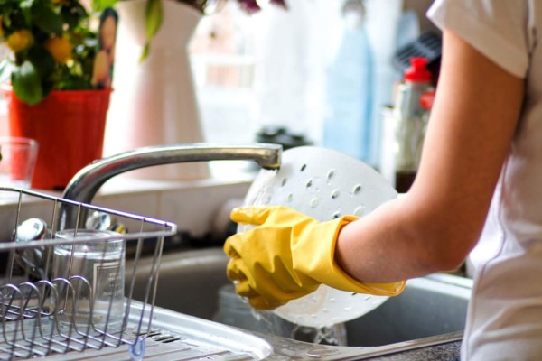 Alimentos libres de intoxicación